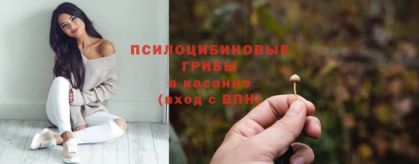 прущие грибы Балабаново