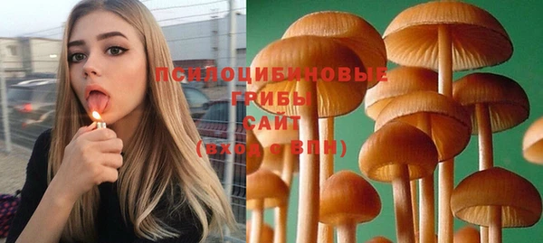 гашик Армянск
