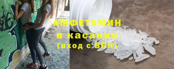 прущие грибы Балабаново